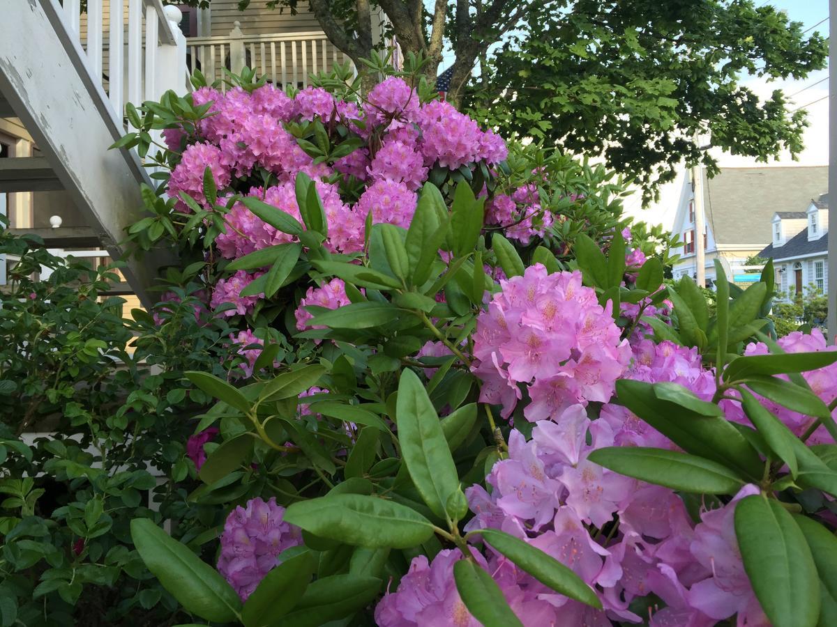Watership Inn Provincetown Exterior photo